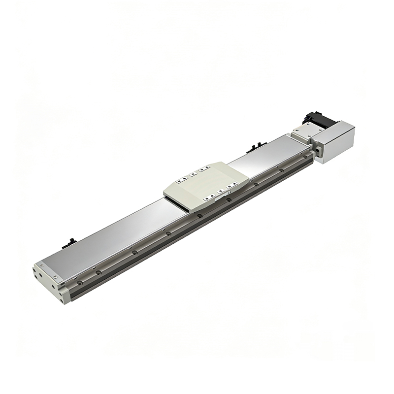 Module linéaire intégré au rail à course longue de 110 kg